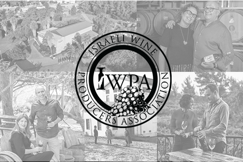 Love Stories in the Vineyard: Husband-and-Wife Teams Behind Israel’s Most Romantic Wines